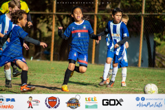 Final Copa Bicho Papão