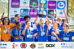 Final Copa Bicho Papão