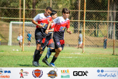 Final Copa Bicho Papão