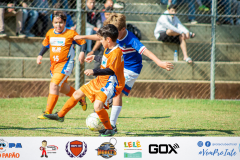 Final Copa Bicho Papão