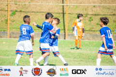 Final Copa Bicho Papão