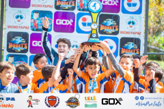 Final Copa Bicho Papão